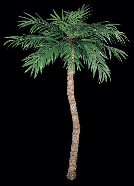 Using artificial palm trees that have either bendable trunks or curved trunks can lend a sense of realism to your silk trees. Designers use this technique when decorating in high end hotels, resorts and homes. They are affordable to most.