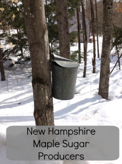 New Hampshire 2017 Maple Producers Annual Maple Sugar Weekend