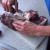 Boning out a deer shoulder Boning out a deer shoulder
