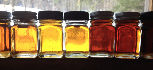 The many shades of syrup. When I visited the Lassonde sugar house, the sun was shining in through the window and the tiny jars of syrup perched on the sill glistened.