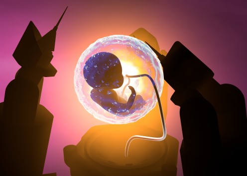 Scientist have discovered that pluripotent cells can’t make the extra embryonic tissues components found in the life giving sack called the placenta.
