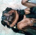 My Response to a Pet 360 Article about Suitable Dog Owners