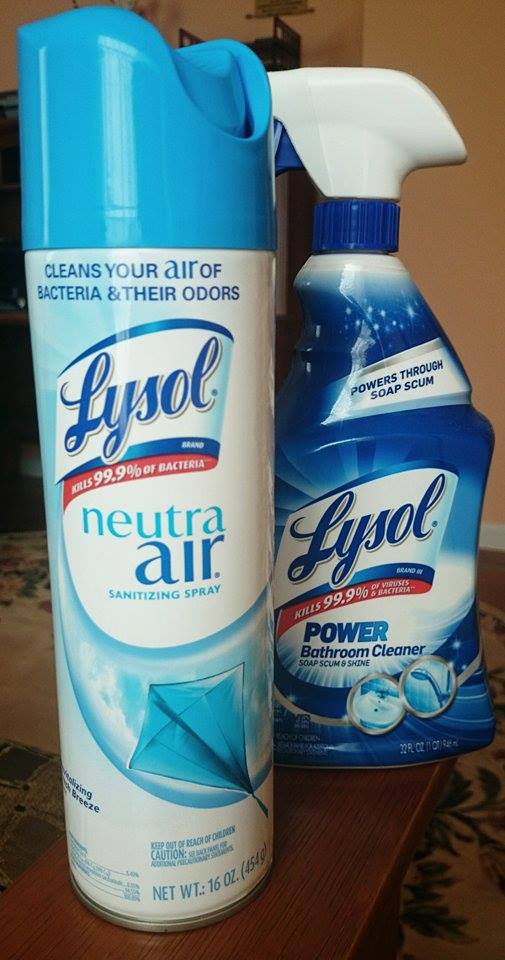 Lysol soap scum remover and deodorizer. You can make these by yourself!