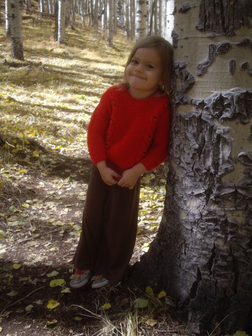 In an Aspen Growth, Flagstaff, AZ