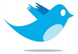 The Twitter bird