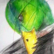 lorgh profile image