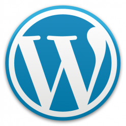 7 Reasons Not to Get the Wordpress Custom Design Upgrade