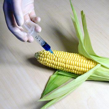 Monsanto spends millions in the attempt to stop GMO labeling.