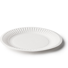 Ordinary Paper Plate