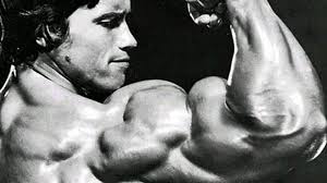 Arnold