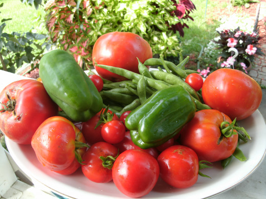 A photo of vegetables grown in my garden