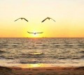 Smile, 44th Good Word in the “Light 2 Love