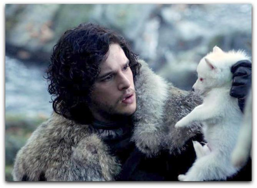 Even when he gets a new puppy, Jon still looks dour.