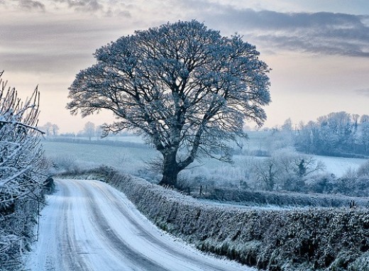 Snow in Ireland
