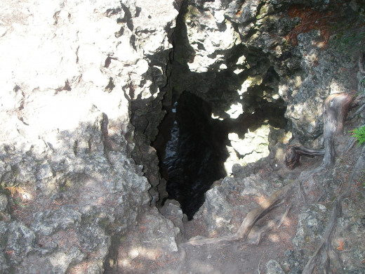 Hole in the ground in Bruce Peninsula National Park.