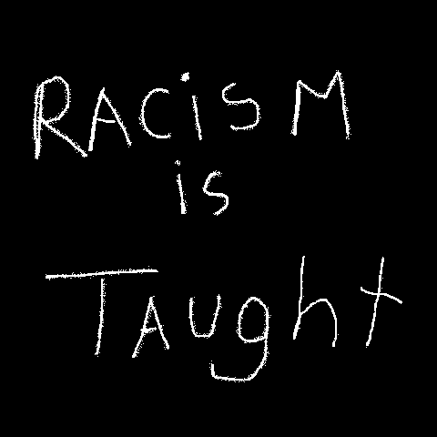 Racism - A Learned Trait