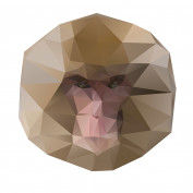 intellichimp profile image