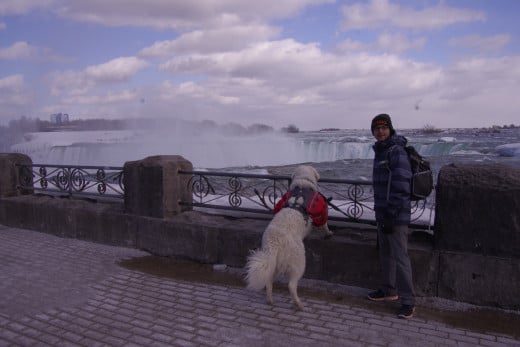 Niagara Falls being enjoyed by K2 and my son here, are based over sedimentary rock.