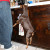 I can jump for that food! I can jump for that food!