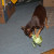 Lovin' this new toy! Lovin' this new toy!