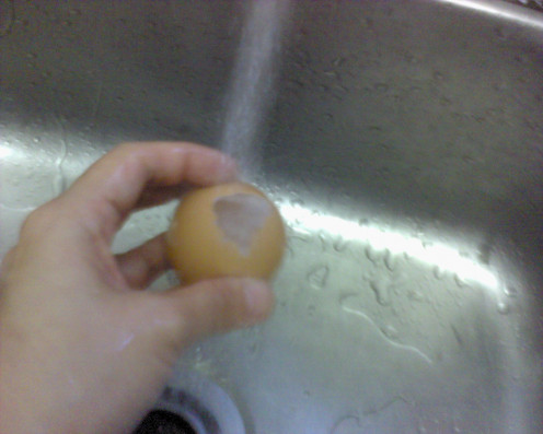 wash the inner egg shell