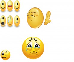 The use of emoticons in a professional and casual job settings is acceptable or not?