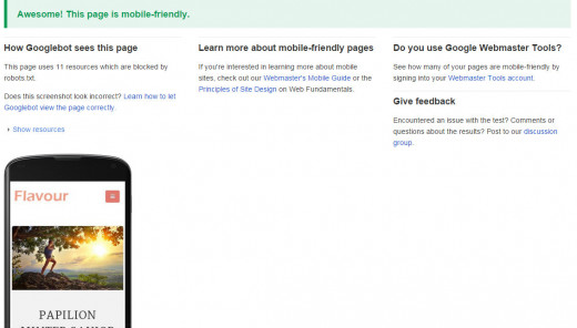 Google's Mobile-Friendly Test Page
