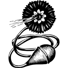 A fake lapel flower that squirts water.
