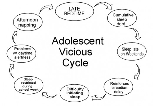 Teen Sleep Cycles The Brain 11