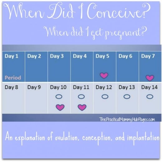 When Did I Get Pregnant or Conceive? | WeHaveKids