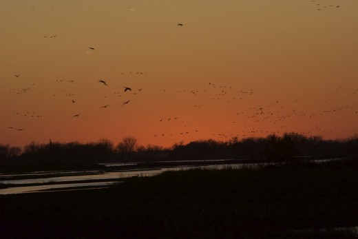 Sunrise on the Platte River