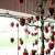Hanging chocolate-dipped strawberries Hanging chocolate-dipped strawberries