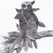 Alfred Lamond profile image