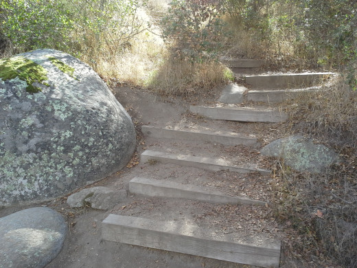 Steps to your dreams.