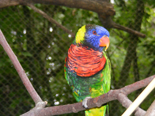 Portland, Oregon Zoo