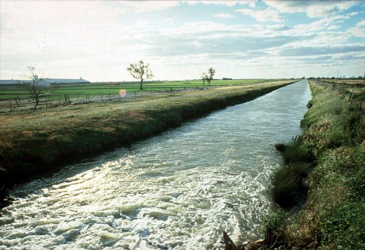 Source: Wikimedia Commons