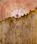 Superstitions Explained - Knock On Wood + Spilled Salt