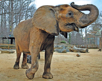Baltimore Maryland Zoo