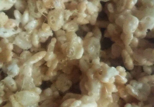Homemade rice krispy treats