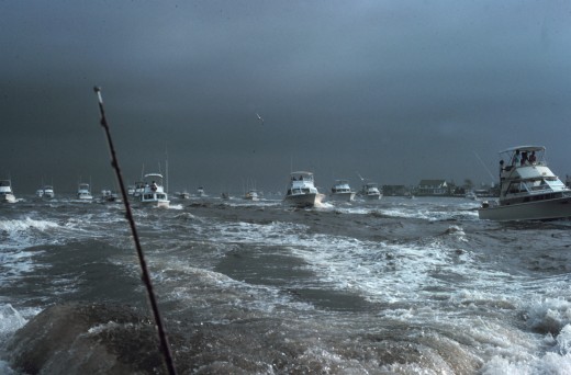 This fleet of sportfishing boats is heading out at the start of a fishing tournament, Georgetown, South Carolina.