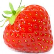 foodanddrink profile image