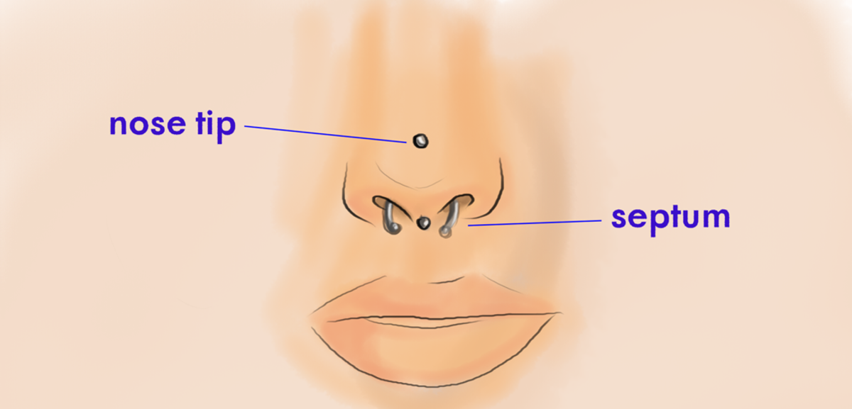 Cartilage Piercing Chart