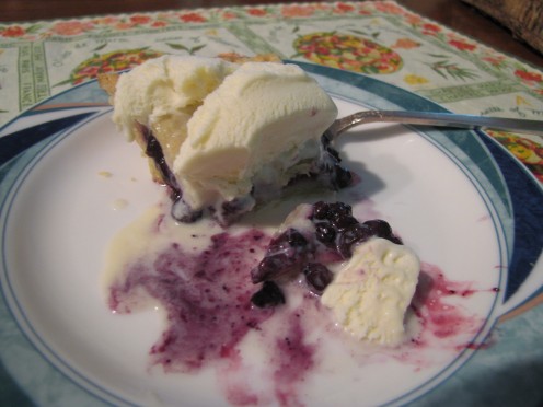 Who can resist fresh fruit for dessert when it looks like this? You can cook the blueberries to make a sauce to serve over the ice cream too. 