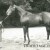 Brantome; James de Rothschild racing horse stolen by the Nazi's and sent to Germany. Brantome; James de Rothschild racing horse stolen by the Nazi's and sent to Germany.