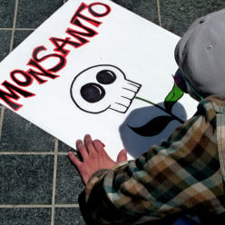 Neil Young Protests Against Monsanto and Starbucks in New Album 