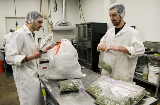 Dixie Elixirs staff inspect trim