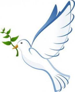 https://usercontent1.hubstatic.com/12377798_f260.jpg