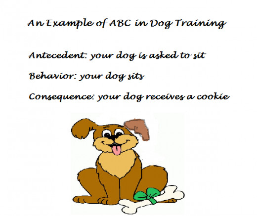 How dogs learn, how to train your dog