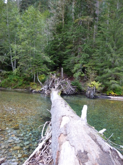 Monte Cristo Trail Log River Crossing