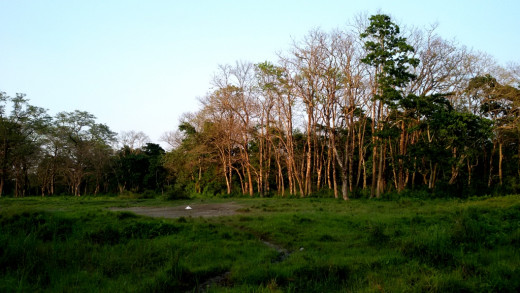 The Salt Pit in front of the Hollong Tourist Lodge